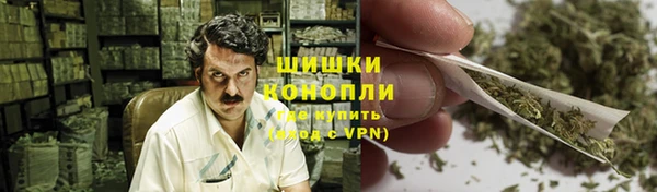 дмт Горнозаводск