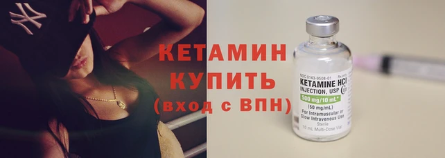 шишки Вязьма