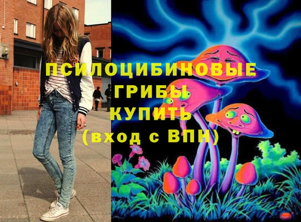 марки lsd Горняк