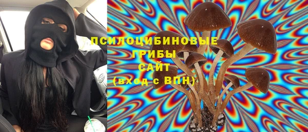 шишки Вязьма